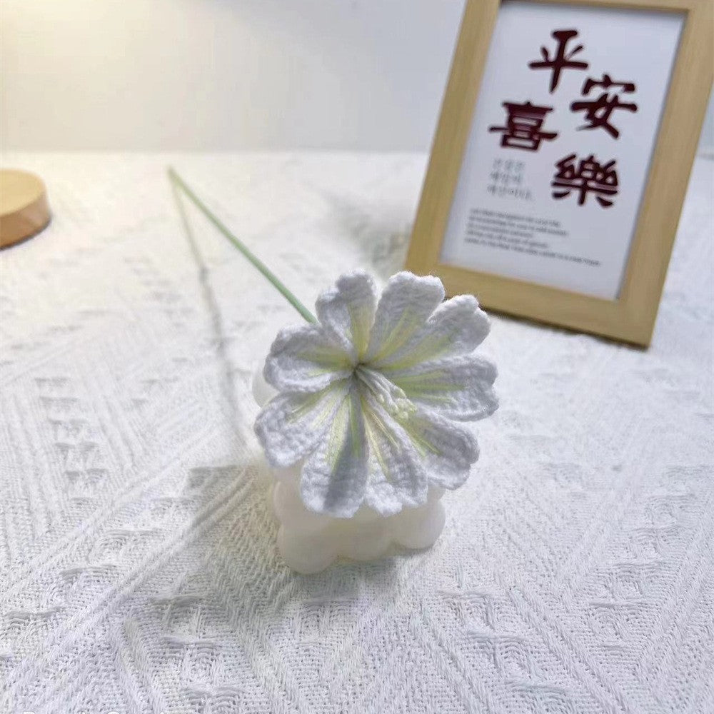 Handmade Crochet Lewisia Flower Bouquet | Eternal Handcrafted Floral Decor for Home & Desk, Perfect Holiday Gift – Pastel Pink/Blue Knit Bloom Arrangement for Valentine’s/Mother’s Day - Mia-yarnwhiper